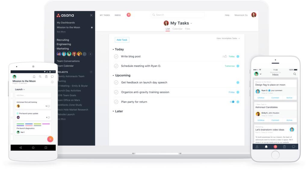 Asana Project Management System