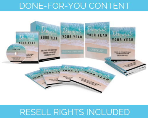 New Year PLR Package